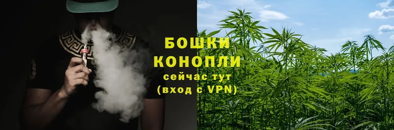 Марихуана White Widow  Бородино 